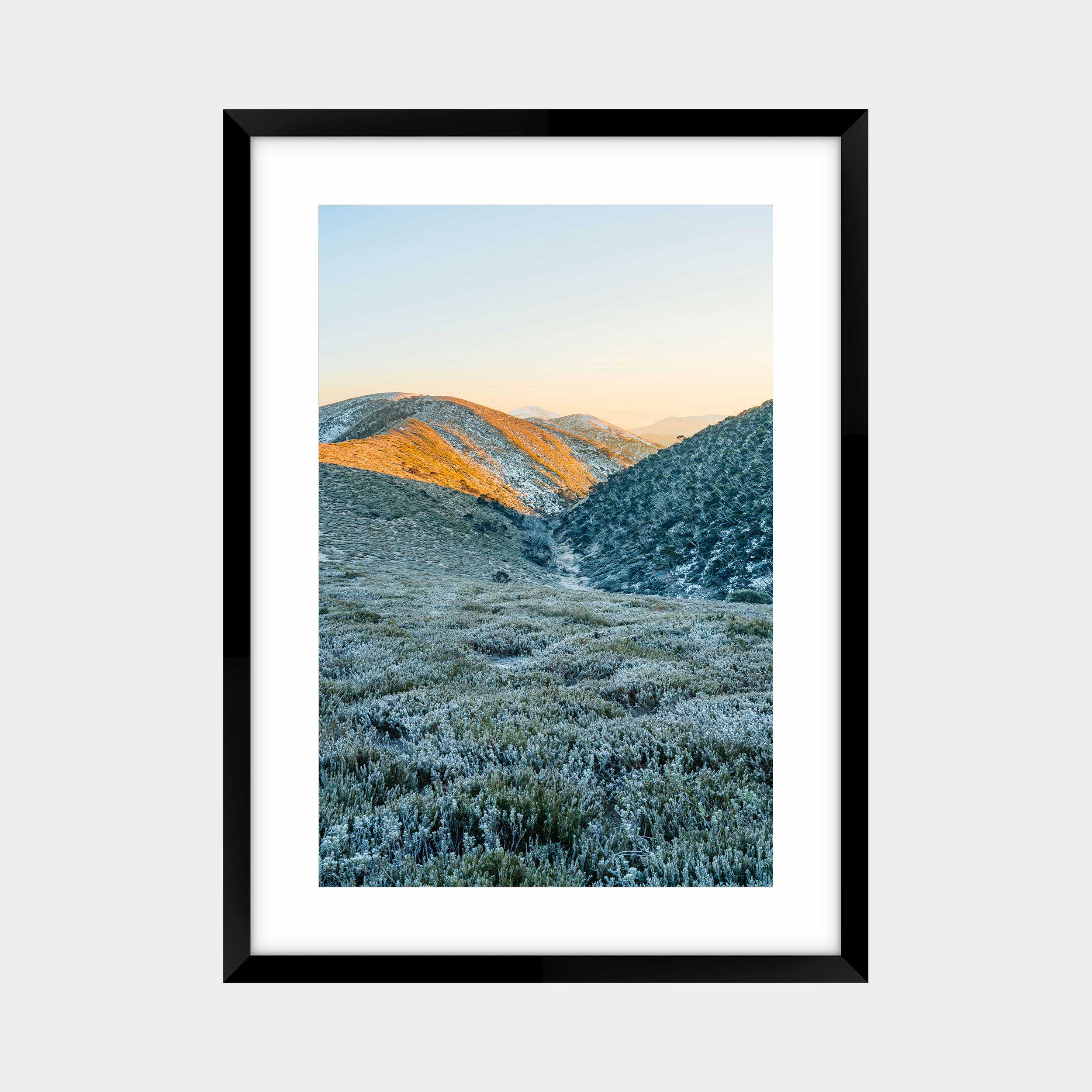 Hotham's Golden Whisper