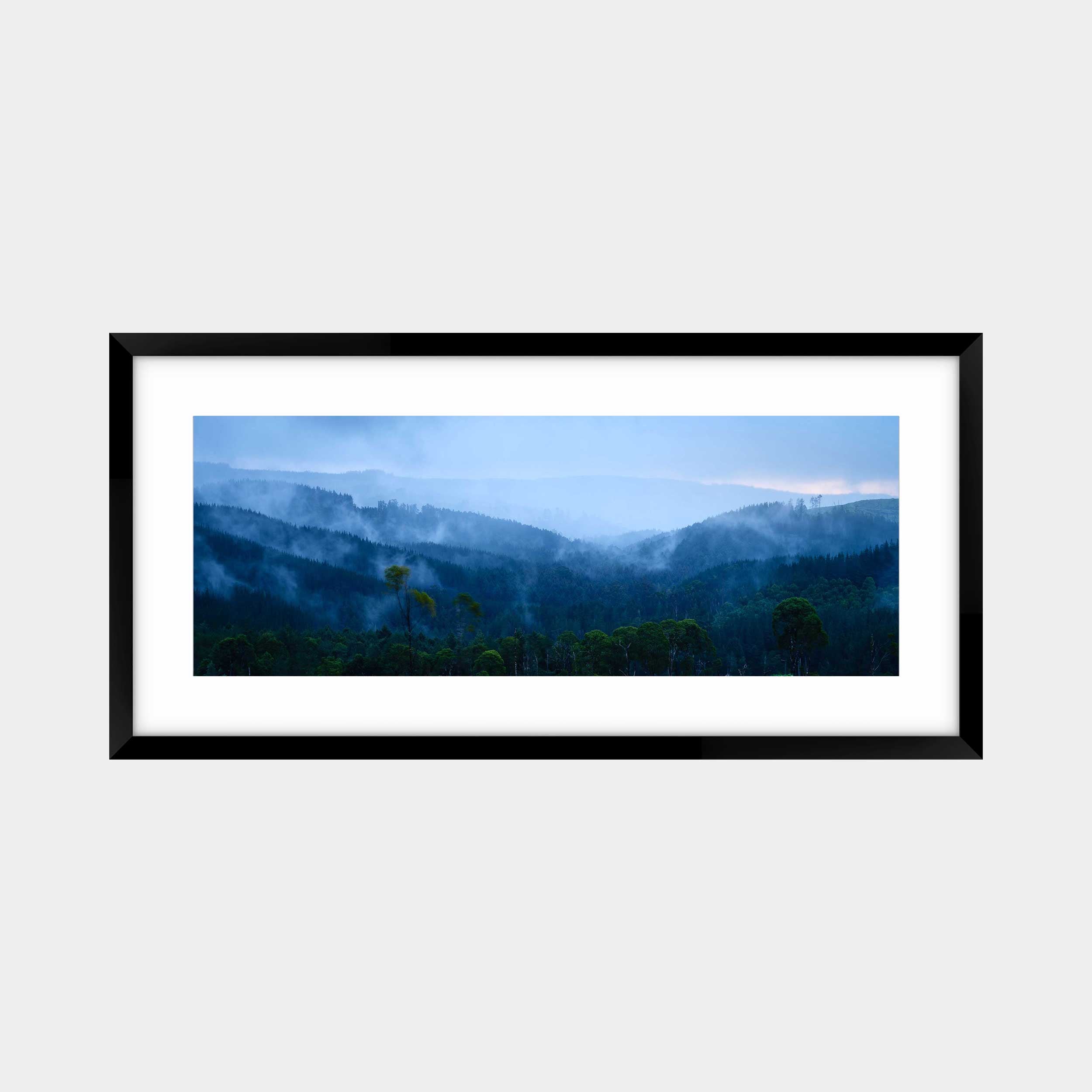Otways' Misty Veil